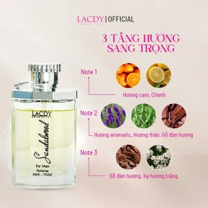 Nước hoa nam SANDALWOOD hương gỗ đàn hương13