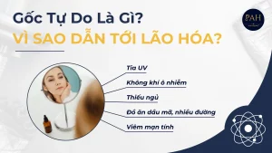 gốc tự do là gì và vì sao làm bạn lão hóa sớm