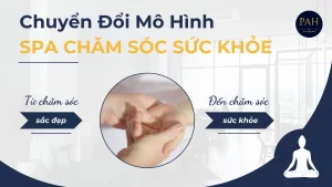 Chuyển Đổi Mô Hình Spa Từ Làm Đẹp Sang Chăm Sóc Sức Khỏe