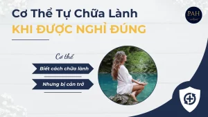 cơ thể tự chữa lành như thế nào khi nghỉ ngơi đúng cách