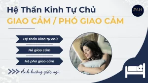 Hệ thần kinh tự chủ, giao cảm là gì? Và ảnh hưởng đến giấc ngủ như thế nào?