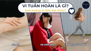 vi tuần hoàn là gì? ảnh hưởng gì đến sức khỏe?