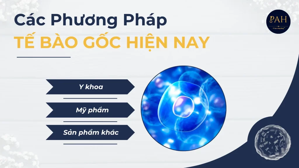 Các Phương Pháp Tế Bào Gốc Hiện Nay