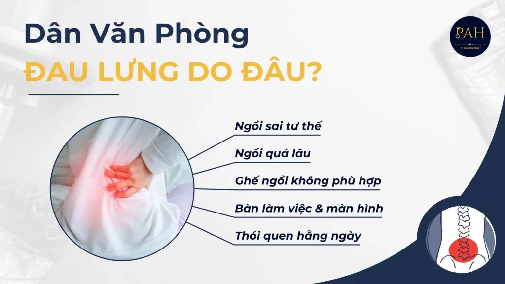 dân văn phòng đau lưng do đâu