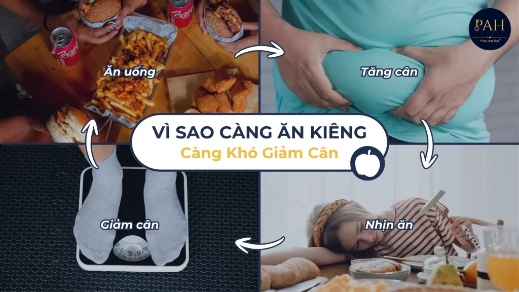 Vì Sao Càng Ăn Kiêng Càng Khó Giảm Cân?