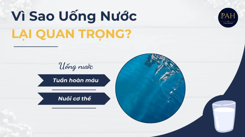 vì sao uống nước lại quan trọng
