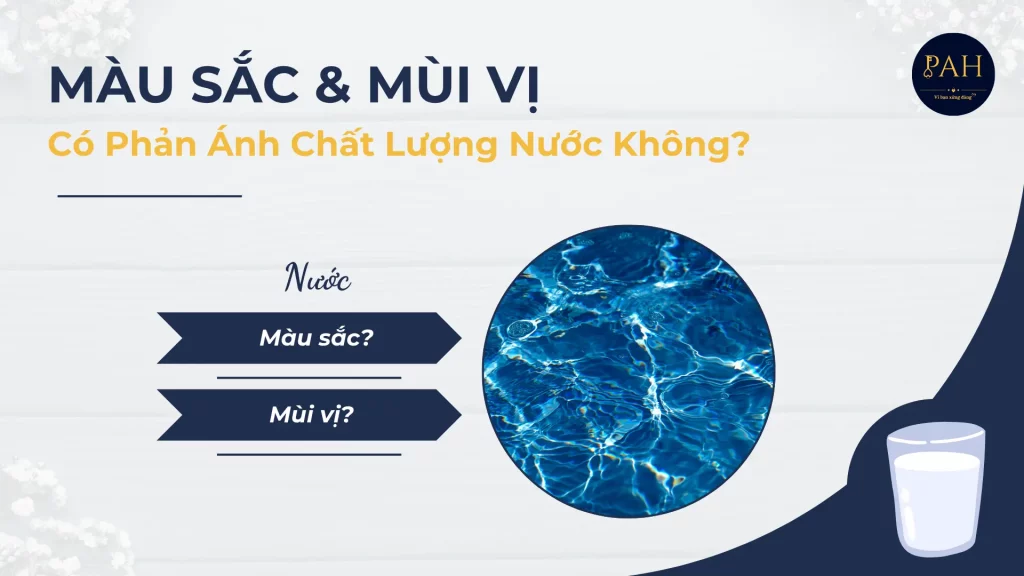 màu sắc và mùi vị có phản ánh chất lượng nước không