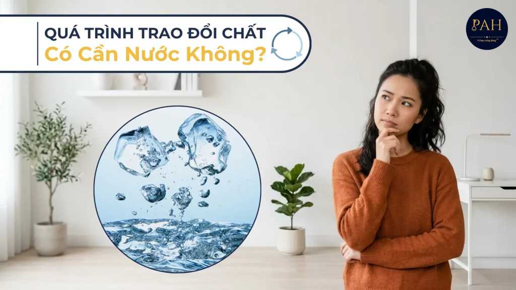 quá trình trao đổi chất có cần nước không