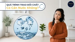 quá trình trao đổi chất có cần nước không
