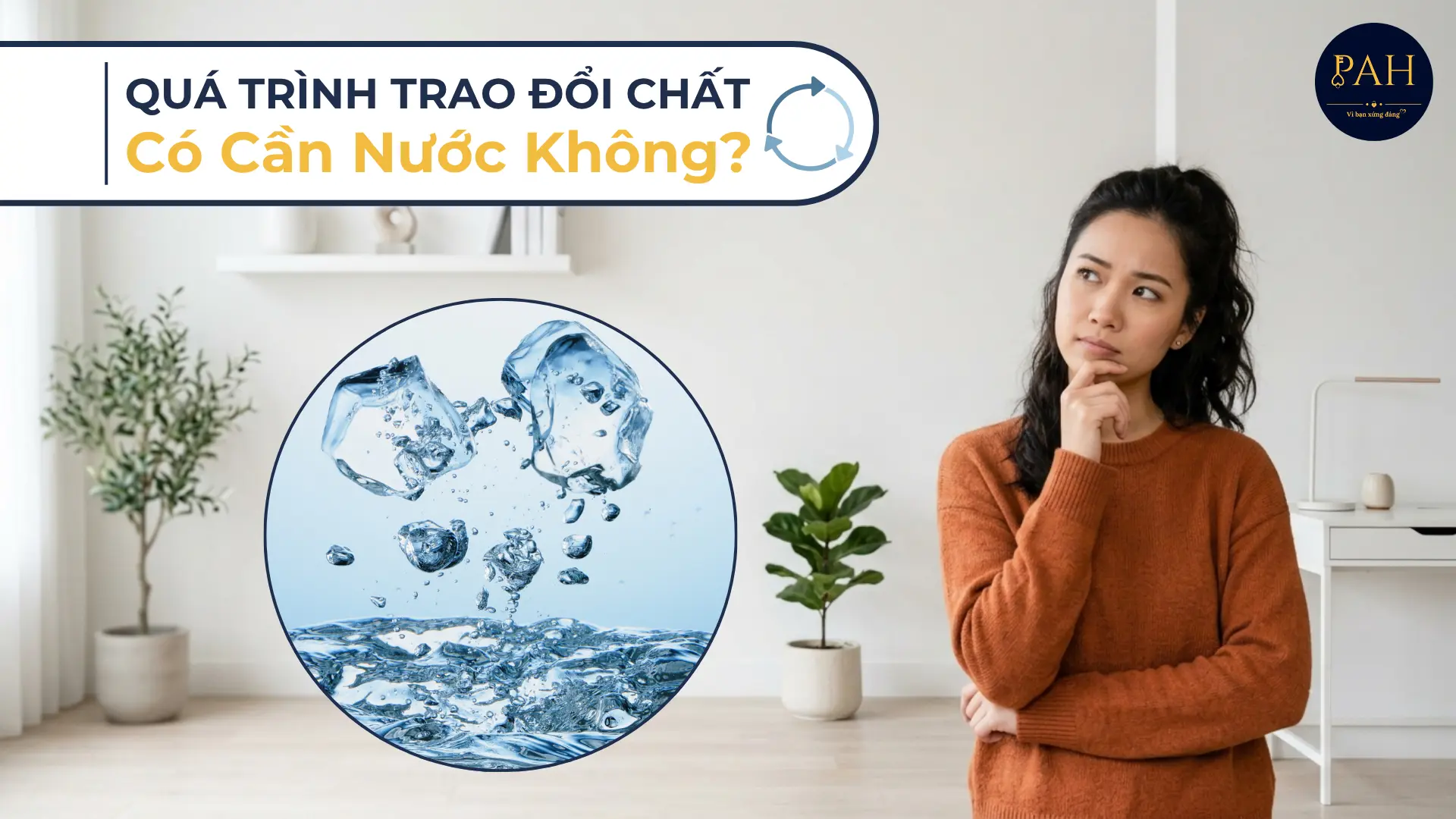 quá trình trao đổi chất có cần nước không