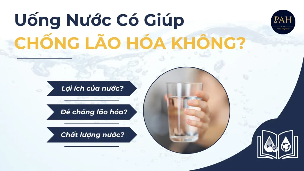 uống nước có giúp chống lão hóa không