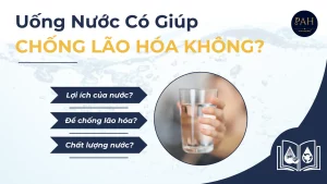 uống nước có giúp chống lão hóa không