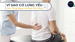 vì sao cơ lưng yếu làm tăng nguy cơ đau cột sống